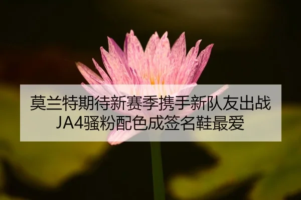 莫兰特期待新赛季携手新队友出战 JA4骚粉配色成签名鞋最爱